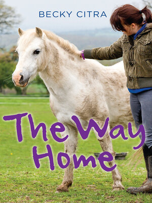 cover image of The Way Home